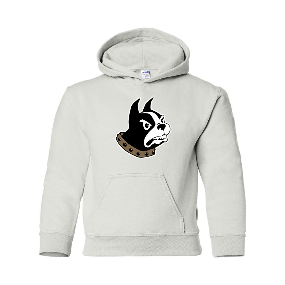 Youth Wofford Terriers Gildan Heavy Blend Hooded Sweatshirt