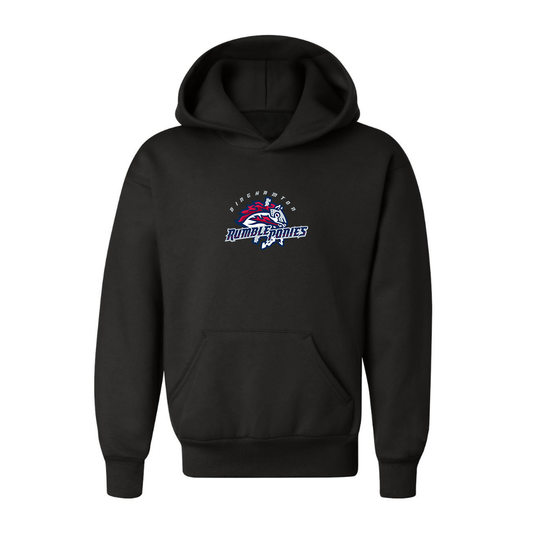 Youth Binghamton Rumble Ponies Logo Pullover Hoodie