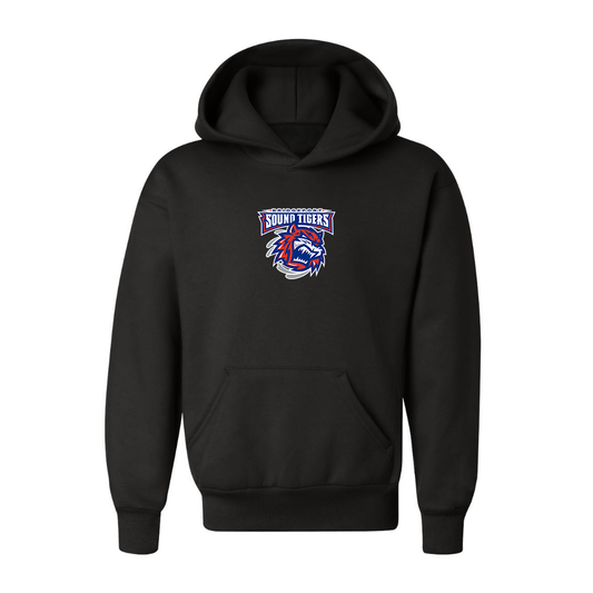 Youth Bridgeport Sound Tigers Logo Pullover Hoodie