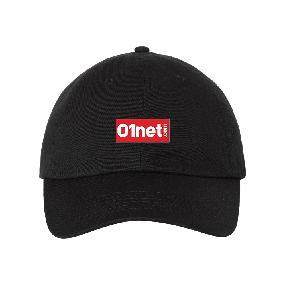 01net Logo Valucap Adult Bio-Washed Classic Dad Hat