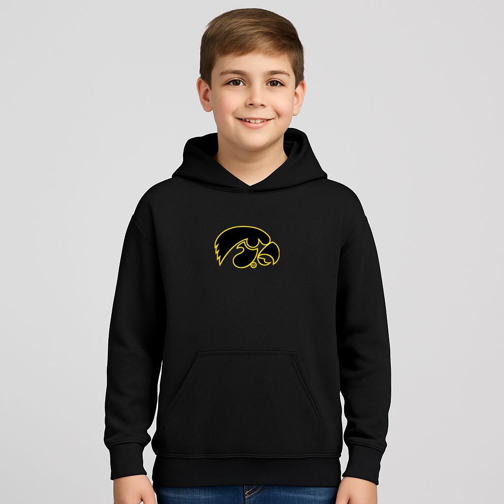 Youth Iowa Hawkeyes Logo Pullover Hoodie