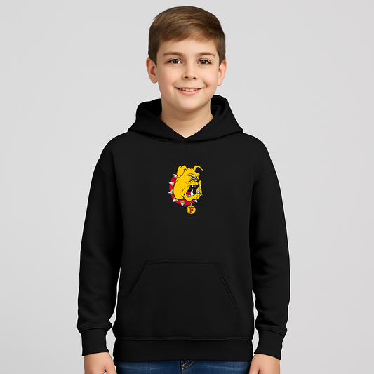 Youth Ferris State Bulldogs Logo Pullover Hoodie