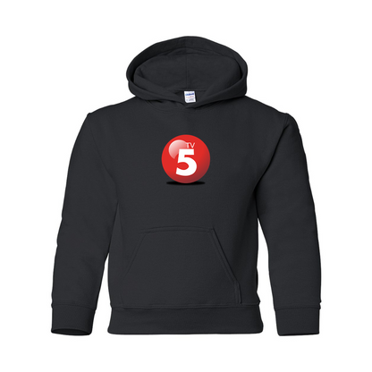 Youth ABC TV5 Logo Gildan Heavy Blend  Hooded Sweatshirt