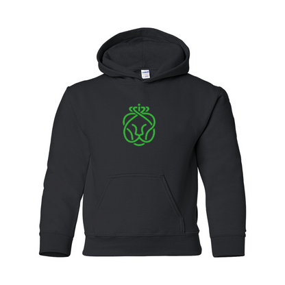 Youth Ahold Delhaize Symbol Gildan Heavy Blend  Hooded Sweatshirt