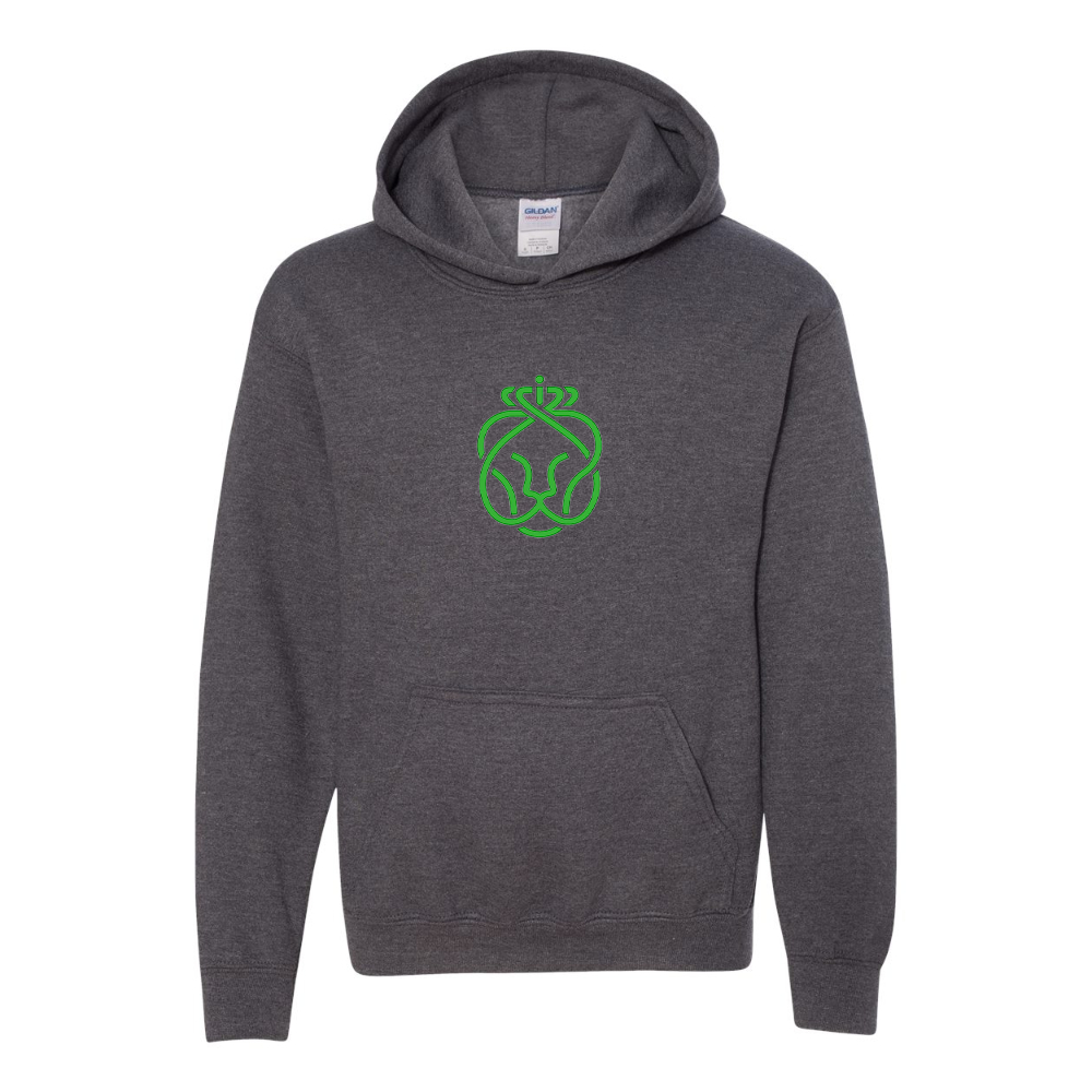 Youth Ahold Delhaize Symbol Gildan Heavy Blend  Hooded Sweatshirt