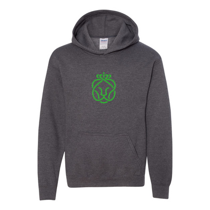 Youth Ahold Delhaize Symbol Gildan Heavy Blend  Hooded Sweatshirt