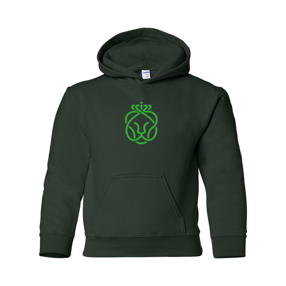 Youth Ahold Delhaize Symbol Gildan Heavy Blend  Hooded Sweatshirt