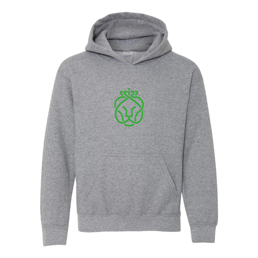 Youth Ahold Delhaize Symbol Gildan Heavy Blend  Hooded Sweatshirt