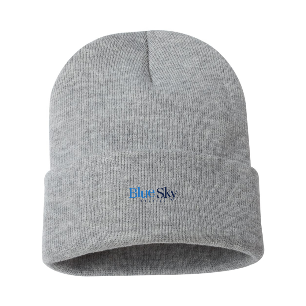 Blue Sky Studios Logo Beanie Hat