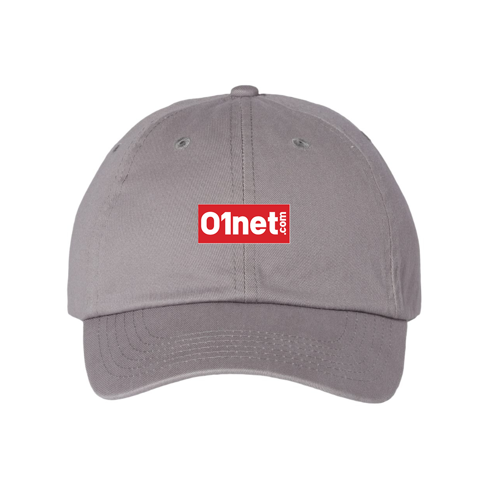 01net Logo Valucap Adult Bio-Washed Classic Dad Hat