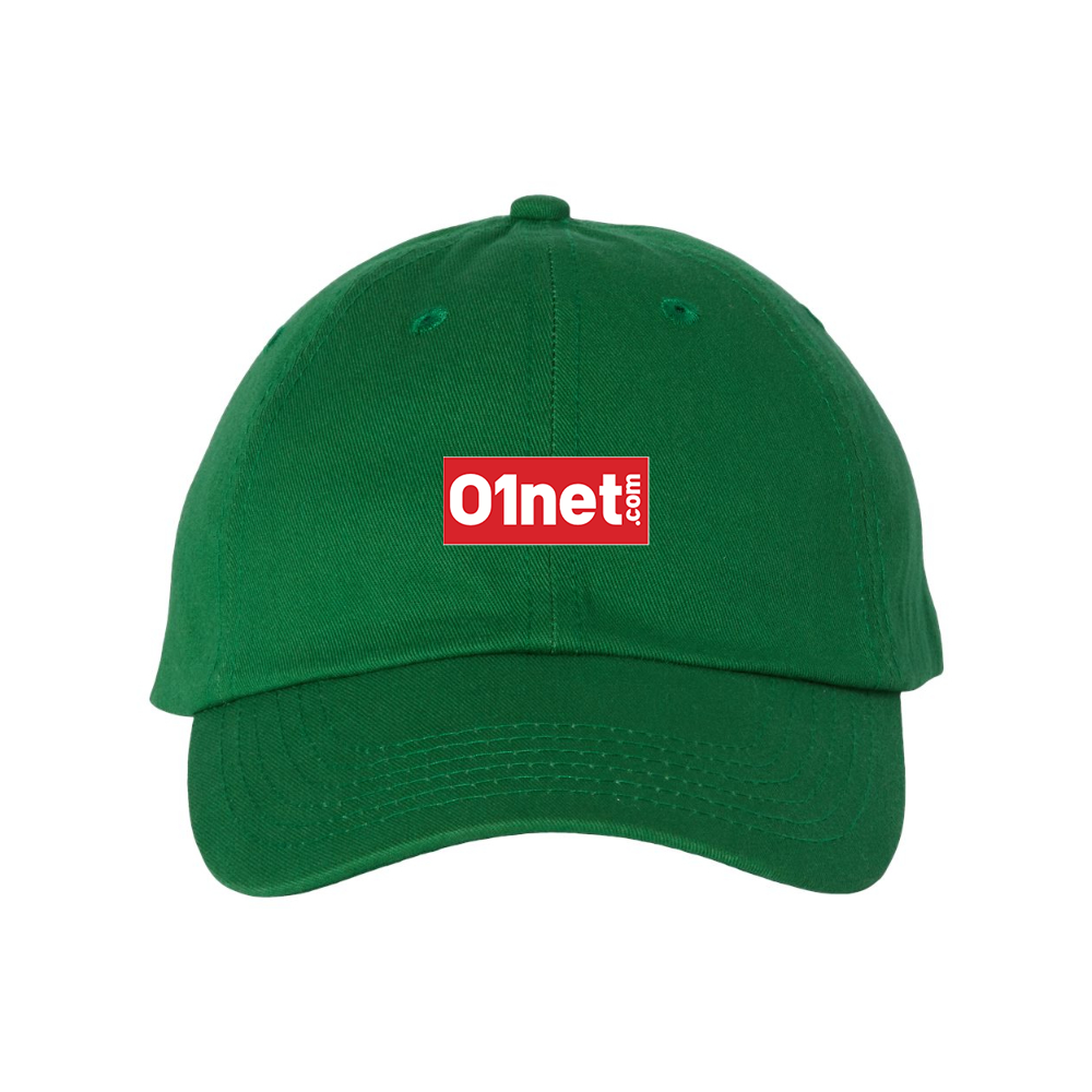 01net Logo Valucap Adult Bio-Washed Classic Dad Hat