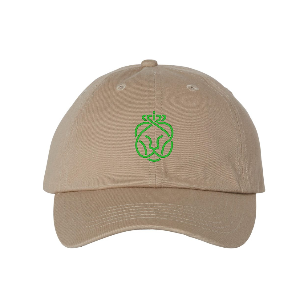 Ahold Delhaize Symbol Valucap Adult Bio-Washed Classic Dad Hat