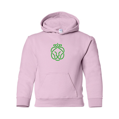 Youth Ahold Delhaize Symbol Gildan Heavy Blend  Hooded Sweatshirt