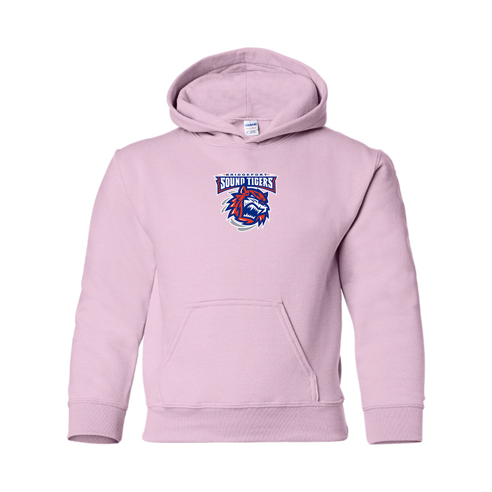 Youth Bridgeport Sound Tigers Logo Pullover Hoodie