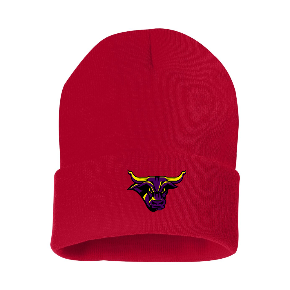 Minnesota State Mavericks Logo Beanie Hat