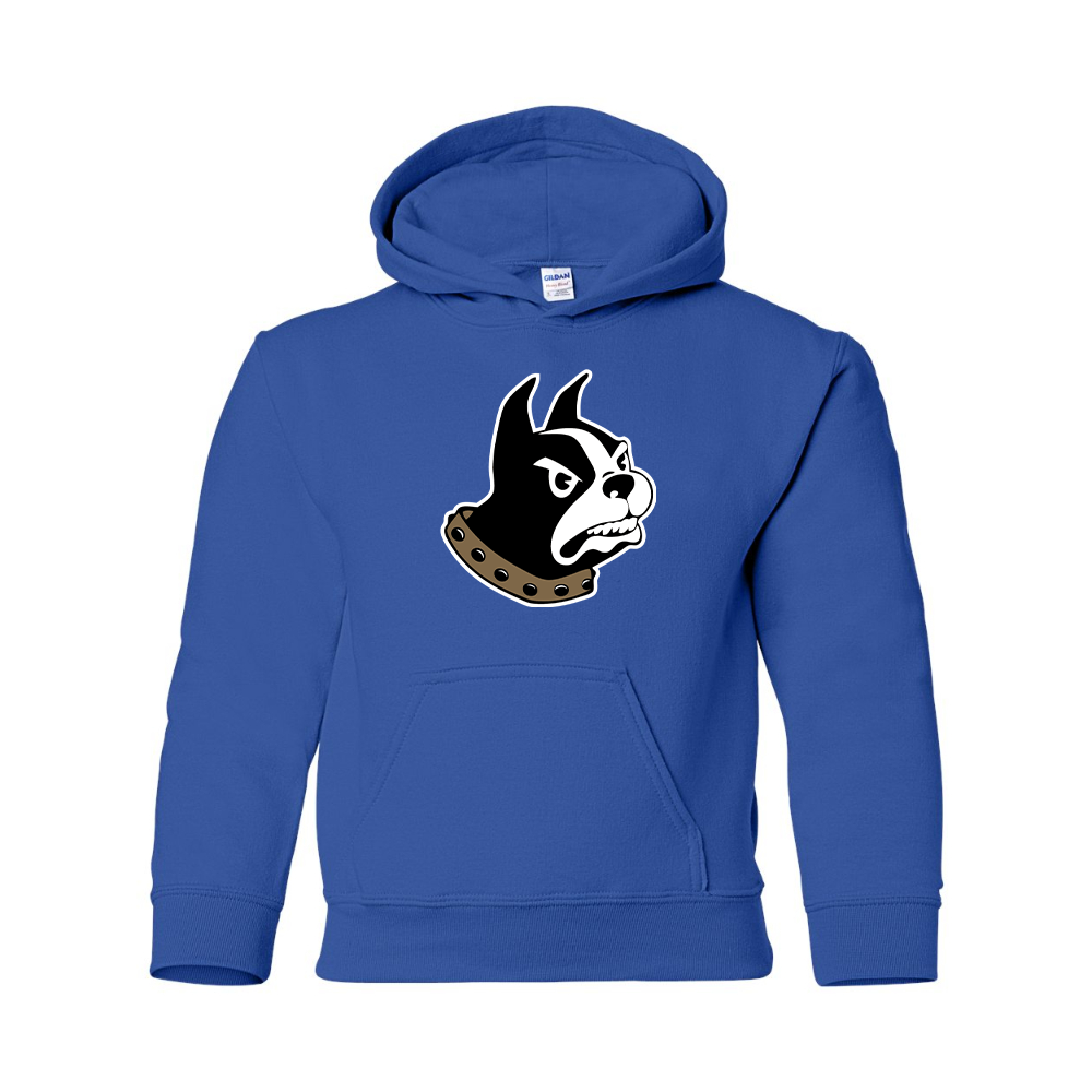 Youth Wofford Terriers Gildan Heavy Blend  Hooded Sweatshirt