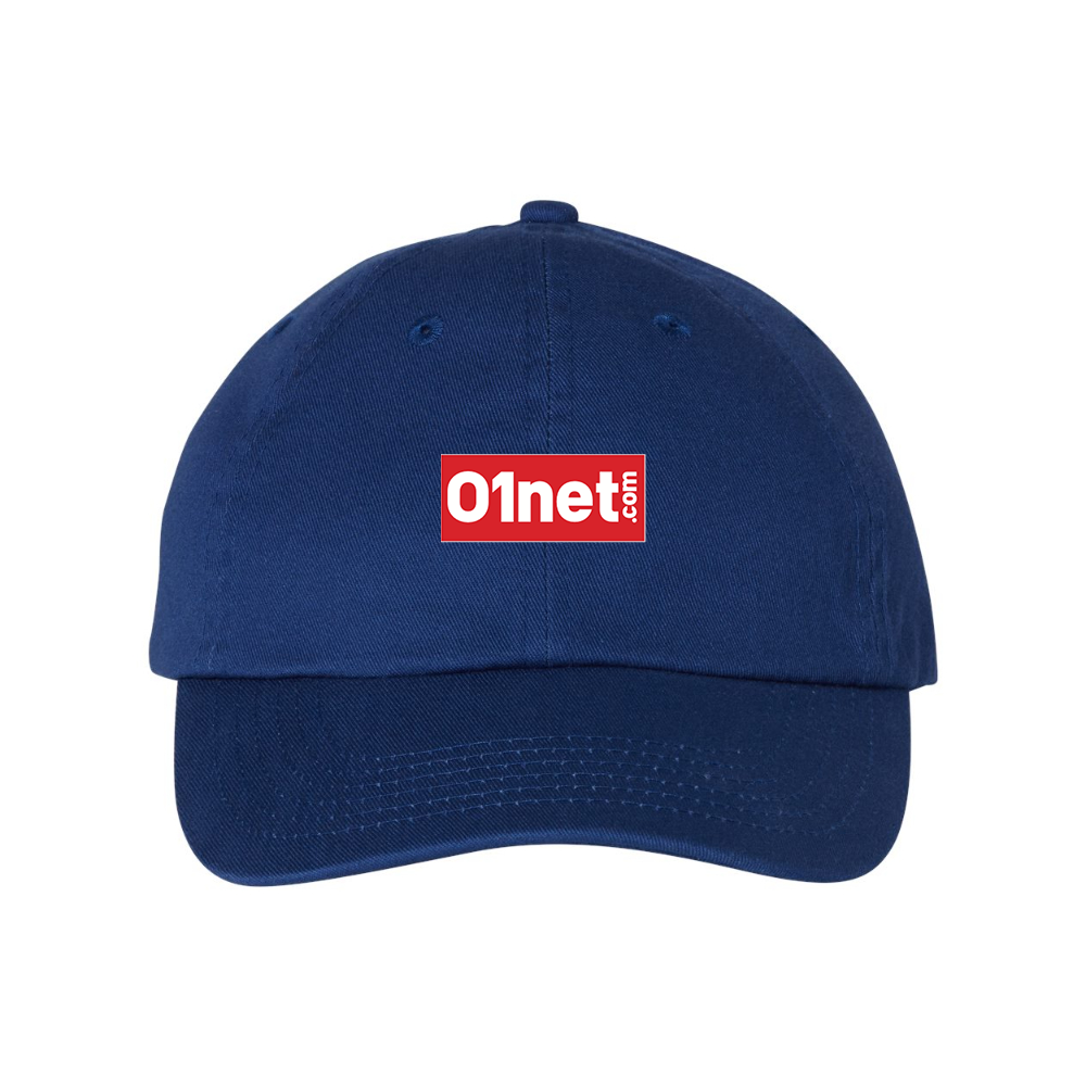 01net Logo Valucap Adult Bio-Washed Classic Dad Hat