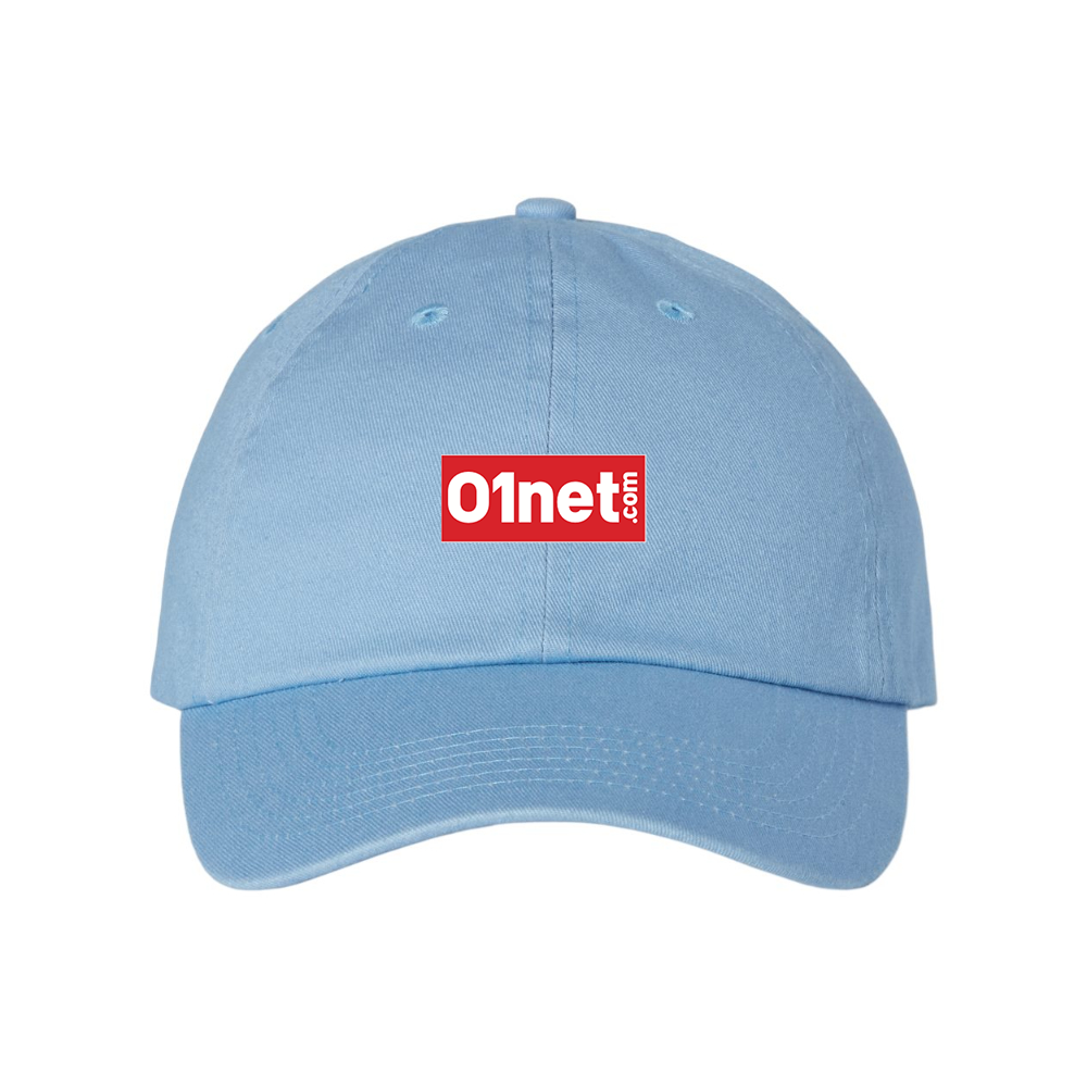 01net Logo Valucap Adult Bio-Washed Classic Dad Hat