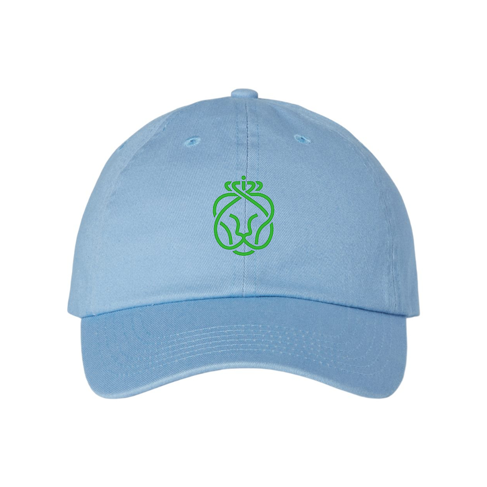 Ahold Delhaize Symbol Valucap Adult Bio-Washed Classic Dad Hat