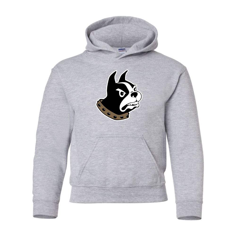 Youth Wofford Terriers Gildan Heavy Blend  Hooded Sweatshirt