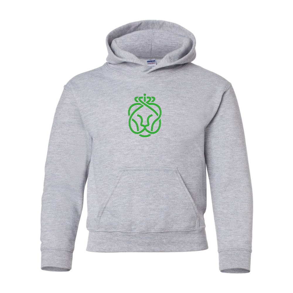 Youth Ahold Delhaize Symbol Gildan Heavy Blend  Hooded Sweatshirt