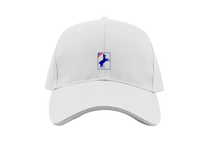 Auverland Logo Dad Baseball Cap Hat