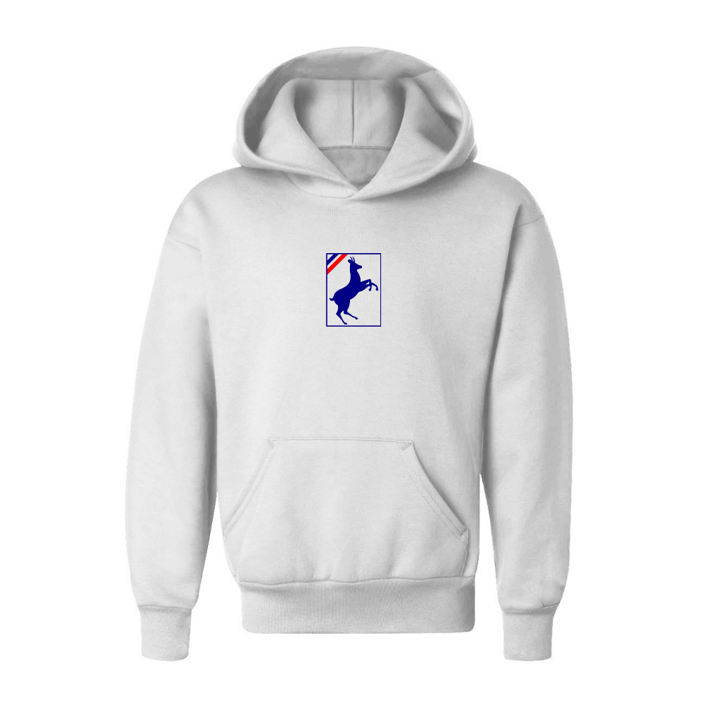 Youth Auverland Logo Pullover Hoodie