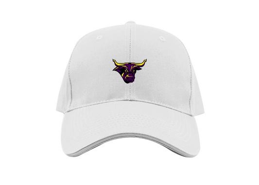 Minnesota State Mavericks Logo Dad Baseball Cap Hat