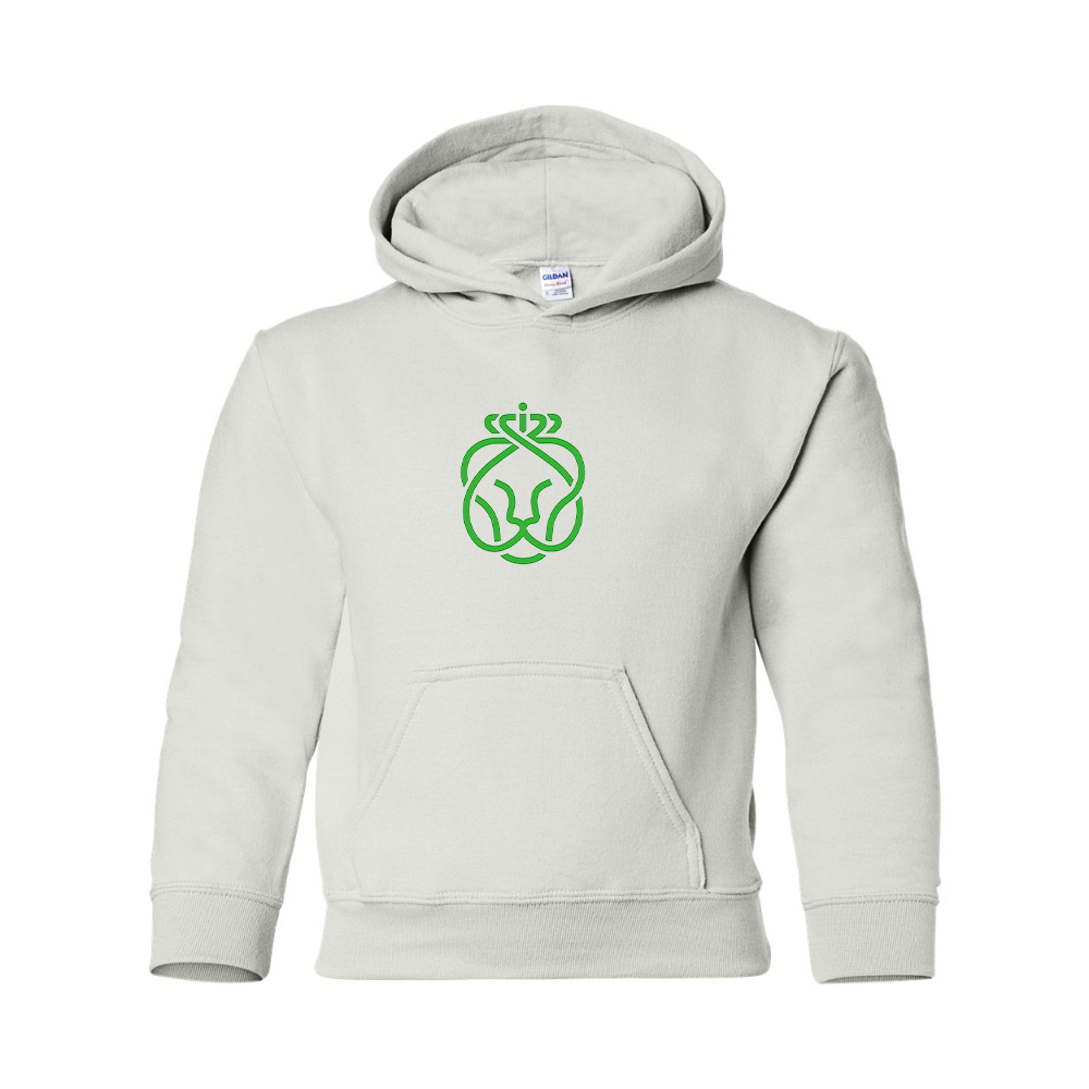 Youth Ahold Delhaize Symbol Gildan Heavy Blend  Hooded Sweatshirt