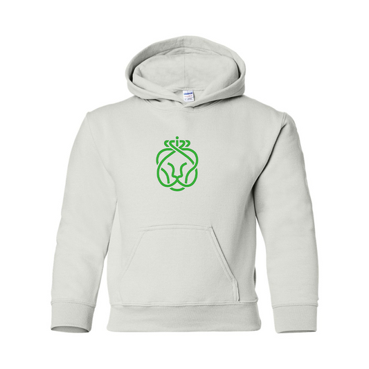 Youth Ahold Delhaize Symbol Gildan Heavy Blend  Hooded Sweatshirt