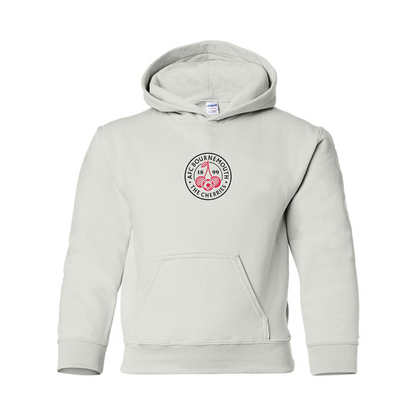 Youth AFC Bournemouth Soccer Logo Gildan Heavy Blend  Hooded Sweatshirt