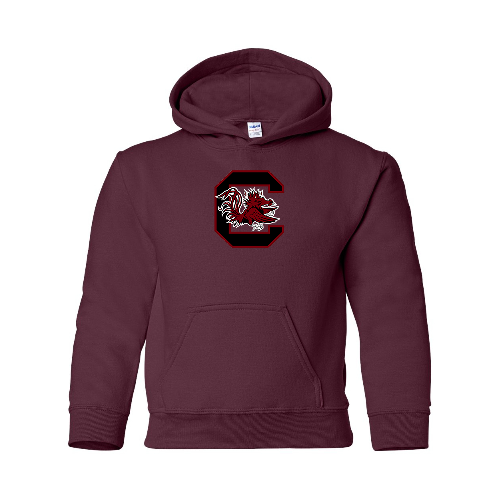 Youth South Carolina Gamecocks Logo Gildan Heavy Blend  Hooded Sweatshirt
