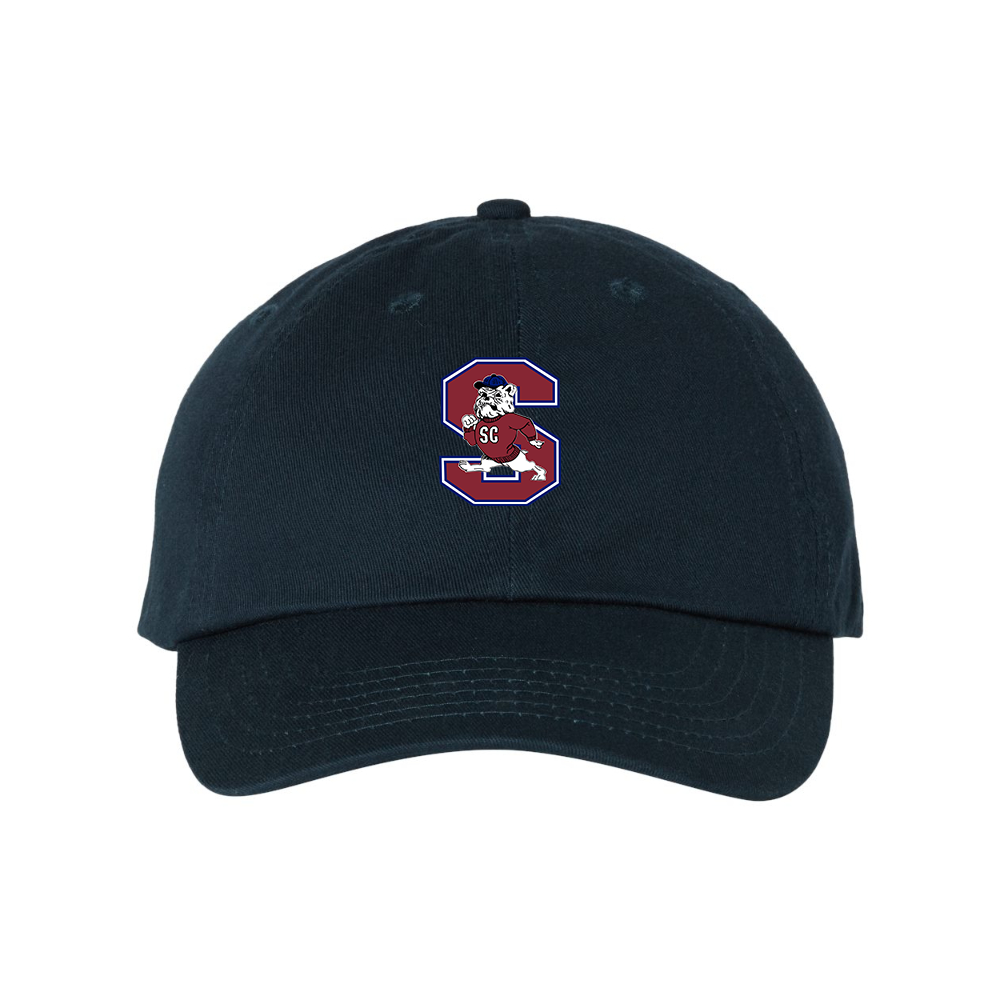 South Carolina State Bulldogs Logo  Valucap Adult Bio-Washed Classic Dad Hat